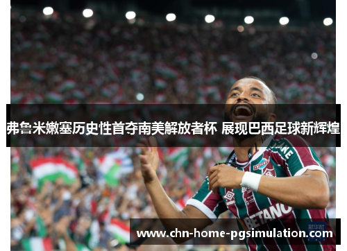 弗鲁米嫩塞历史性首夺南美解放者杯 展现巴西足球新辉煌
