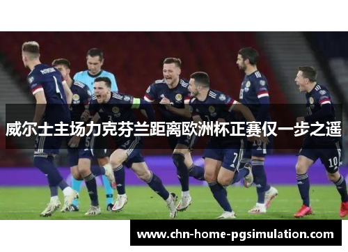 威尔士主场力克芬兰距离欧洲杯正赛仅一步之遥