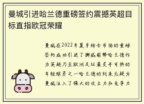曼城引进哈兰德重磅签约震撼英超目标直指欧冠荣耀